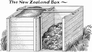 NZ-box