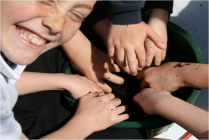 Schools composting