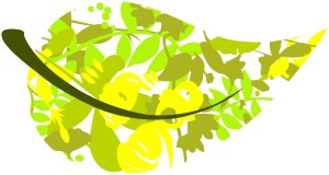 Leaf Logo jpg