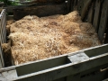 Wood shavings